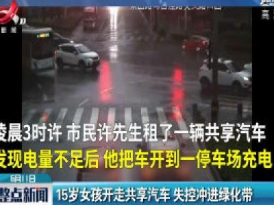 广东：15岁女孩开走共享汽车 失控冲进绿化带