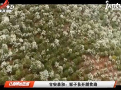 江西旅游报道20200605