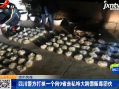 四川警方打掉一个向9省走私特大跨国贩毒团伙