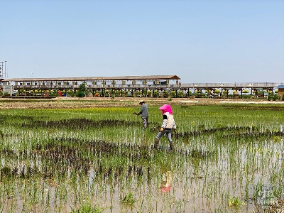 ​贺兰山下考察，习近平看重这些事