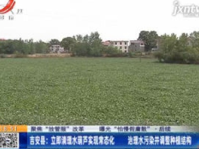 【聚焦“放管服”改革 曝光“怕慢假庸散”·后续】吉安县：立即清理水葫芦实现常态化 治理水污染并调整种植结构