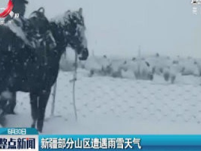 新疆部分山区遭遇雨雪天气