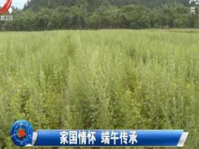 社会传真20200625 家国情怀 端午传承