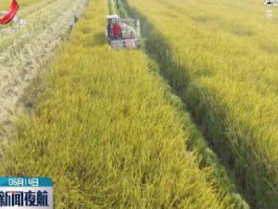 江西两个水稻品种被确认为超级稻
