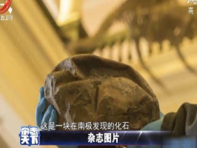 苍龙蛋化石现身