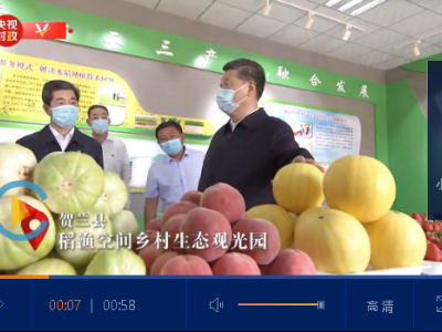 独家视频丨习近平在银川考察调研