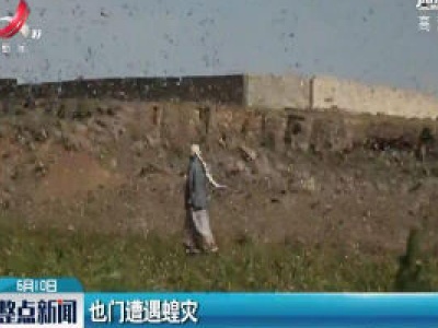 也门遭遇蝗灾