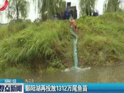 九江：鄱阳湖再投放1312万尾鱼苗
