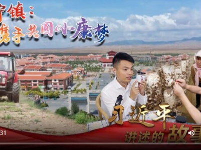 习近平讲述的故事丨闽宁镇：携手共圆小康梦