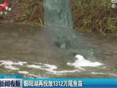 九江：鄱阳湖再投放1312万尾鱼苗