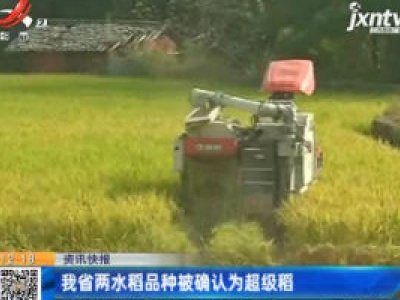 江西省两水稻品种被确认为超级稻