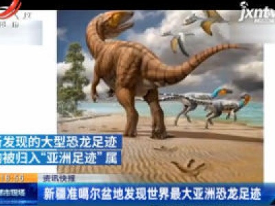 新疆准噶尔盆地发现世界最大亚洲恐龙足迹