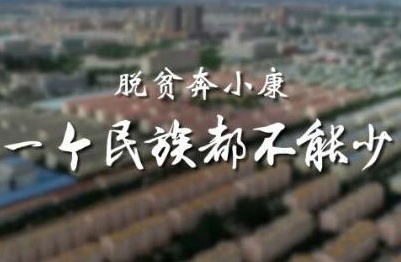 时政微视频丨习近平宁夏再看脱贫 一个民族都不能少