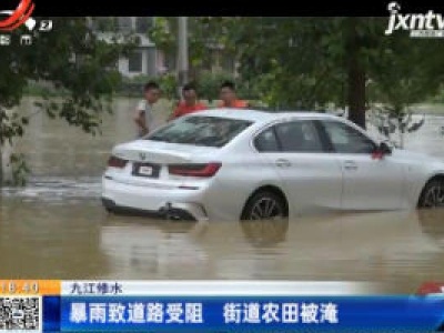 九江修水：暴雨致道路受阻 街道农田被淹