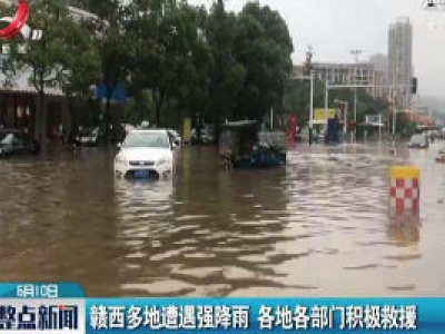 赣西多地遭遇强降雨 各地各部门积极救援