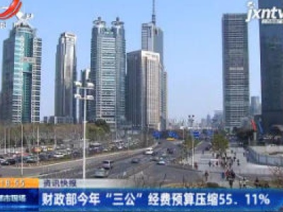 财政部2020年“三公”经费预算压缩55.11%