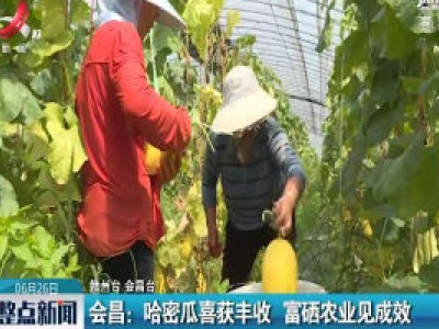会昌：哈密瓜喜获丰收 富硒农业见成效