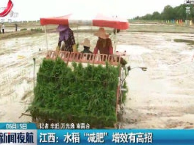 江西：水稻“减肥”增效有高招