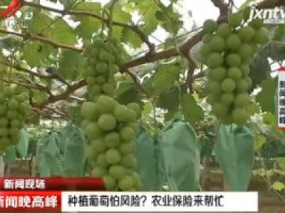 新闻晚高峰20200623