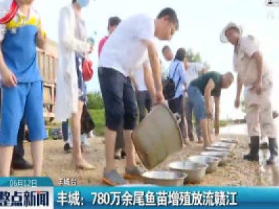 丰城：780万余尾鱼苗增殖放流赣江