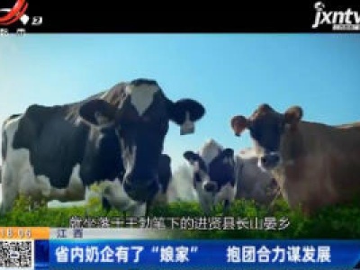 江西：省内奶企有了“娘家” 抱团合力谋发展