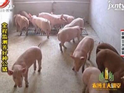 农博士大讲堂20200622 全程监测养好种公猪