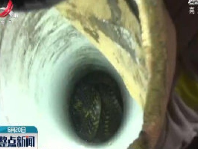 上饶：居民家中蛇出没 消防及时捕捉