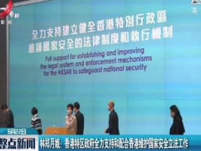 林郑月娥：香港特区政府全力支持和配合香港维护国家安全立法工作