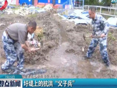柴桑：圩堤上的抗洪“父子兵”