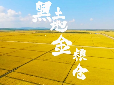 时政特稿丨总书记牵挂的这方黑土地 是大有可为的热土