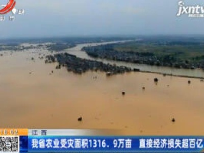 江西：我省农业受灾面积1316.9万亩 直接经济损失超百亿