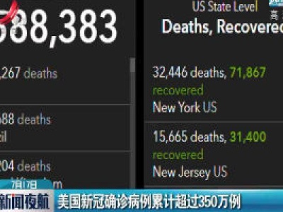 美国新冠确诊病例累计超过350万例