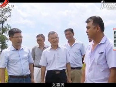 稻花香里20200717