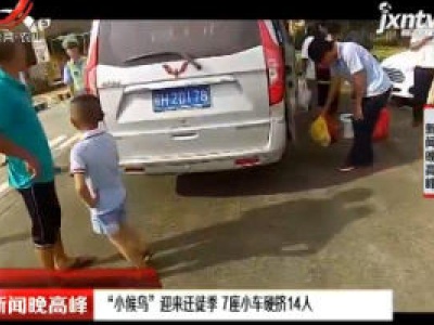 江西：“小候鸟”迎来迁徙季 7座小车硬挤14人