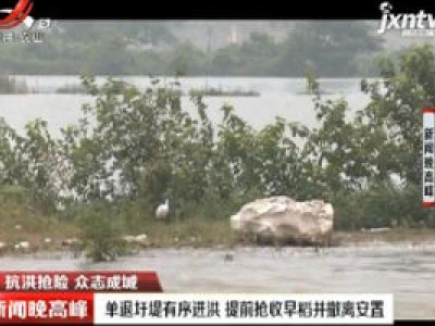 【抗洪抢险 众志成城】九江永修：单退圩堤有序进洪 提前抢收早稻并撒离安置