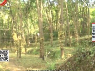 三农聚焦20200713 中药种植的大门道