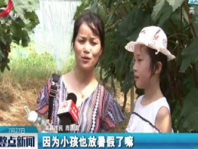 南昌：暑期到来 旅游市场升温