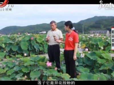 稻花香里20200716