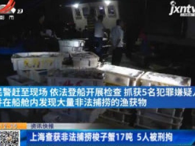 上海查获非法捕捞梭子蟹17吨 5人被刑拘