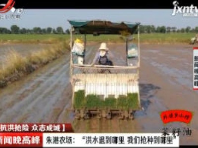 【抗洪抢险 众志成城】朱港农场：“洪水退到哪里 我们抢种到哪里”
