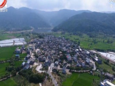 我省通报11起自然资源领域典型违法案件