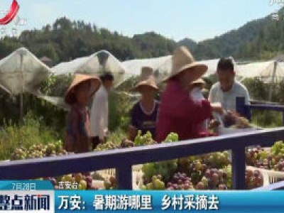 万安：暑期游哪里 乡村采摘去