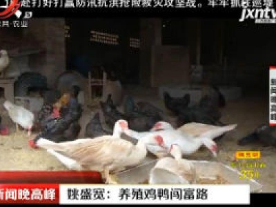 姚盛宽：养殖鸡鸭闯富路