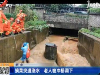 新余：摘菜突遇涨水 老人被冲桥洞下