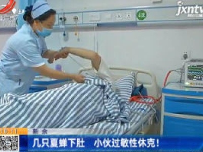 新余：几只夏蝉下肚 小伙过敏性休克！
