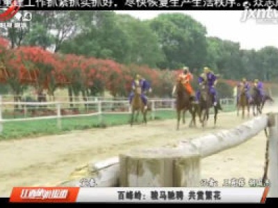 百峰岭：骏马驰骋 共赏繁花