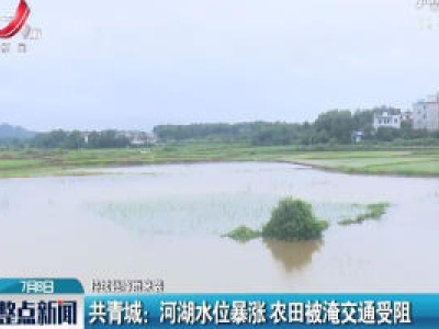 【持续强降雨来袭】共青城：河湖水位暴涨 农田被淹交通受阻