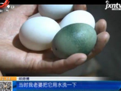 重庆：母鸡生下“翡翠蛋” 专家都说十分罕见