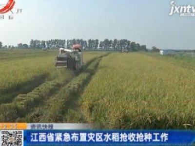 江西省紧急布置灾区水稻抢收抢种工作