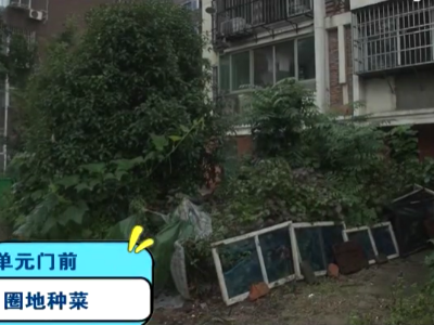 美丽江西在行动20200728 青云谱区国乐新村小区：闻着臭味进出 公共用地被占用 管理部门承诺整改